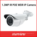 1.3MP WDR Poe IP IR wasserdichte Kugel CCTV Überwachungskamera